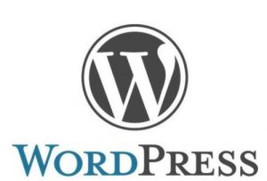 自动升级WordPress失败解决方法